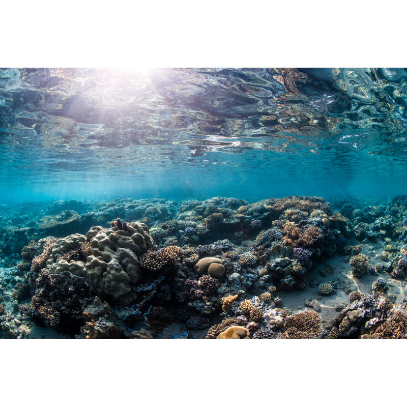 Paysage de mer rouge par Carlos Negrete, H 12 po x l 18 po