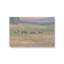 «Cows in Pasture» par Stephen Calcasola, reproduction d'art sur toile-58592728-58592734-58592544