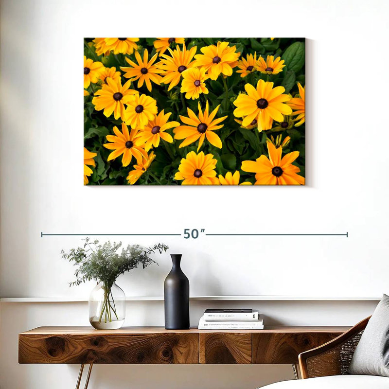 Harnek Gloriosa Daisies, H 24 po x l 36 po
