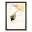 Pheasant Couple by Ohara Koson - Picture Frame Painting Print-55732058-55732059