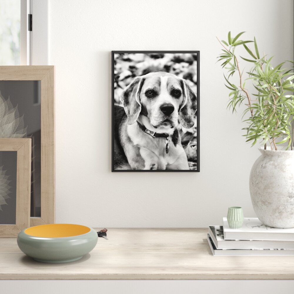 Gerahmtes Wandbild kleiner BeagleLaub