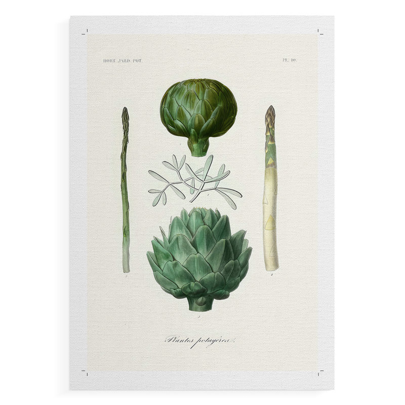 Variétés de fruits et légumes II - Impression sur toile seulement - NON-CADRE, H 18 po x l 12 po