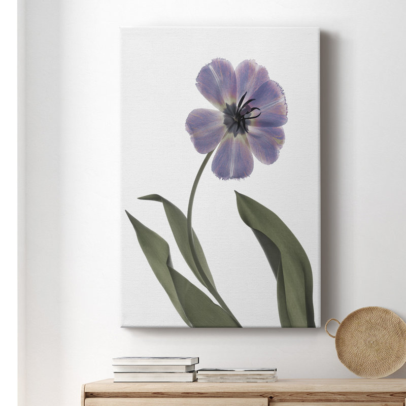 «Xray Tulip X», impression sur toile tendue, H 18 po x l 12 po x P 1 po