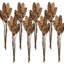 5 Piece Strobus Pine Twig Stem   Set of 8   23.5"   Natural