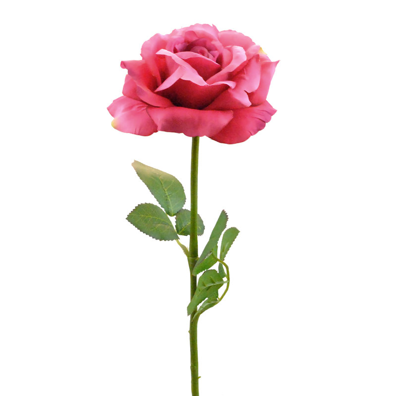 Rose Arrangement, Pink
