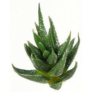 https://assets.wfcdn.com/im/30593010/resize-h310-w310%5Ecompr-r85/6101/61013701/5-faux-succulent-plant-set-of-3.jpg