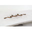 Porte-bougie brun avec guirlande Mango-406271764