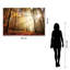 Art mural en verre trempé sans cadre Sunlight in Woods - 40 po x 60 po