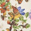 Pyne Butterfly Wallpaper