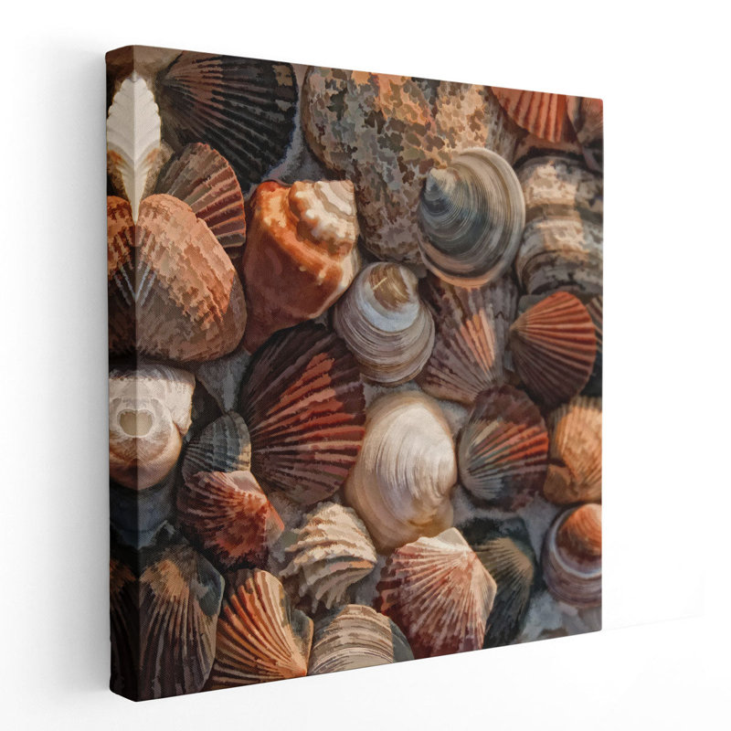 Coquille oui - reproduction d'art sur toile, H 30 po x l 30 po