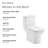 Carre One-Piece Square Toilet Dual-Flush 1.1/1.6 gpf-63681520