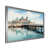 Silver Single Picture Framed