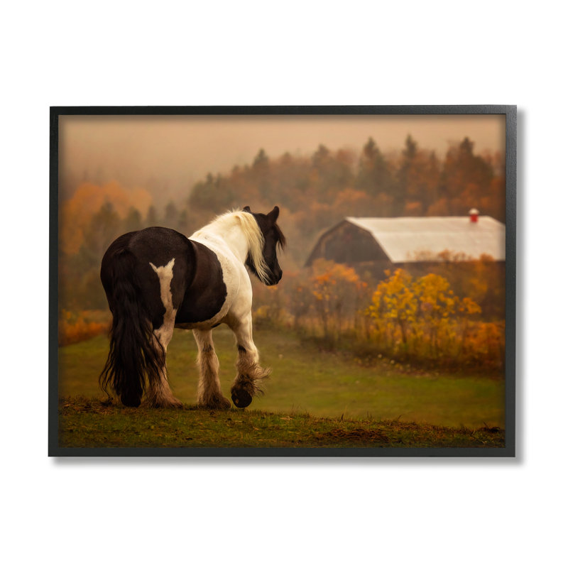 «Ba-327», cheval surplombant une grange encadrée sur bois par PHBurchett, Giclée encadrée noir minuit