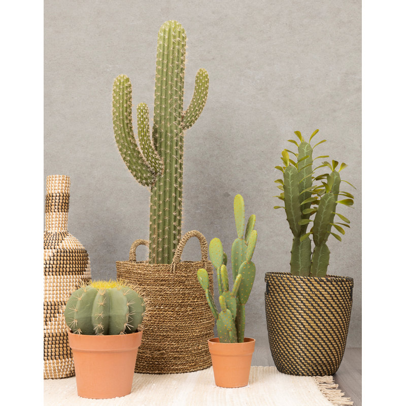 25'' Faux Cactus Plant in Pot