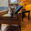 Photos des clients 2 de 2