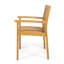 Ensemble de 2 chaises de jardin Alison, bois d'acacia brun, panneau à lattes