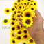 Panier à tournesol