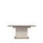 Andia Extendable Dining Table-102491322-102491323
