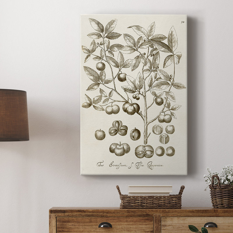 Sépia Botanical Journal II - galerie sur mesure Cavas, H 60 po x l 40 po