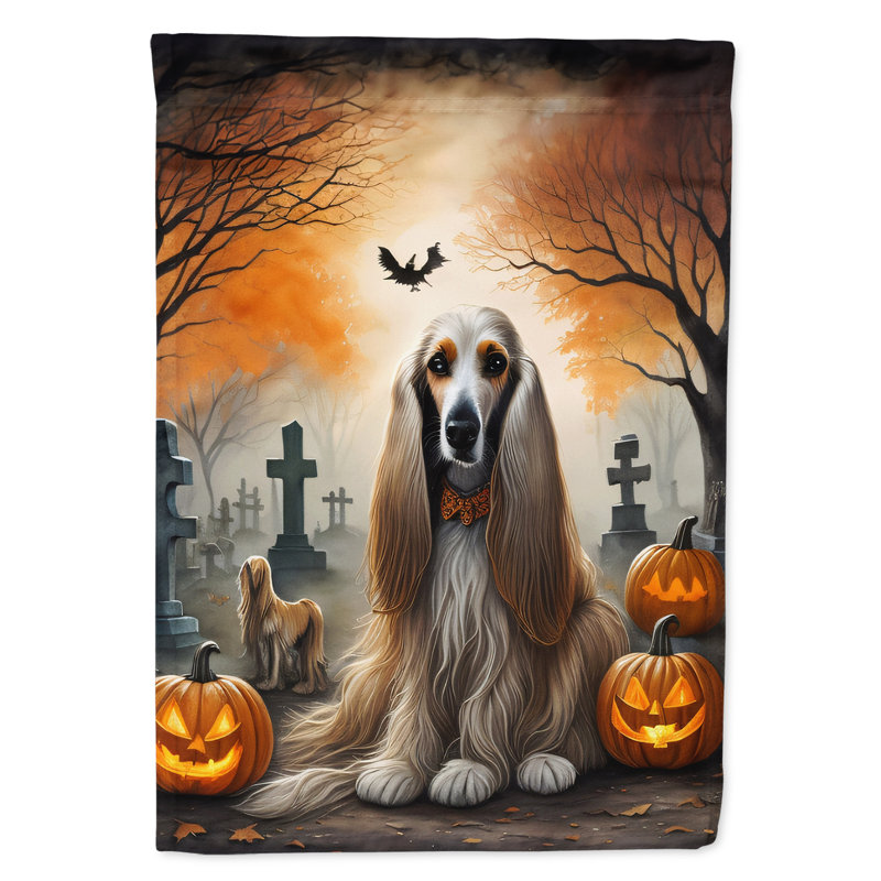 Double Sided 40'' H x 28'' W Polyester Halloween House Flag