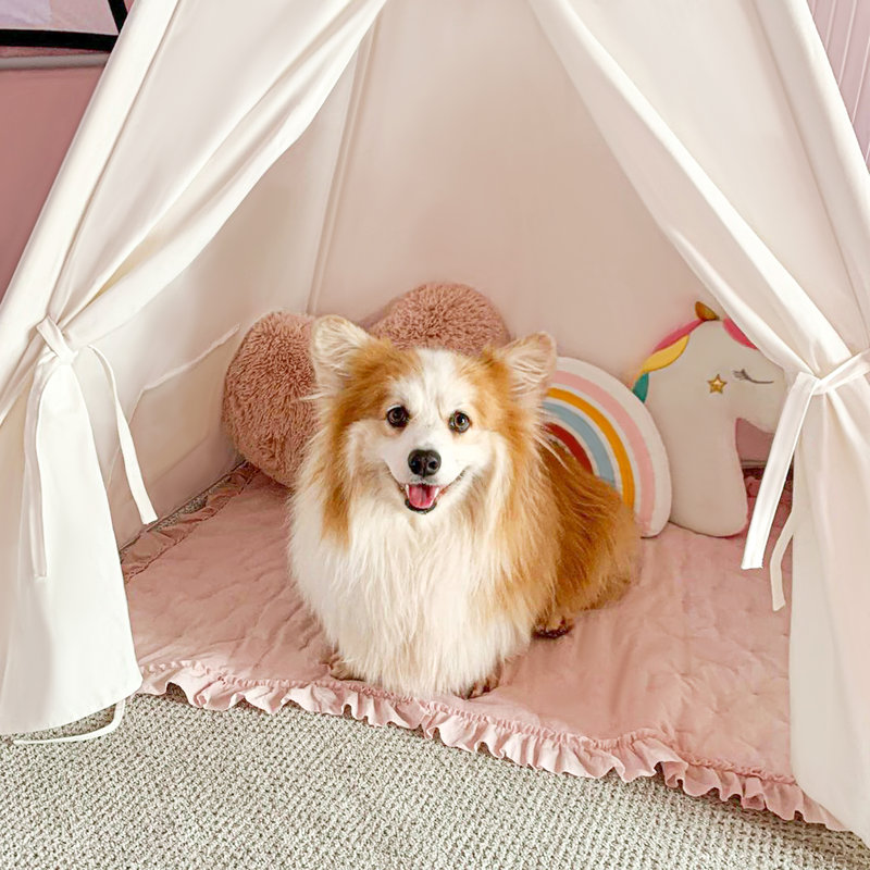 Tiny Land® Play Tent for Kids with Mat
