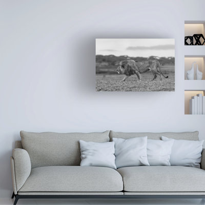 Art sur toile Alessandro Catta