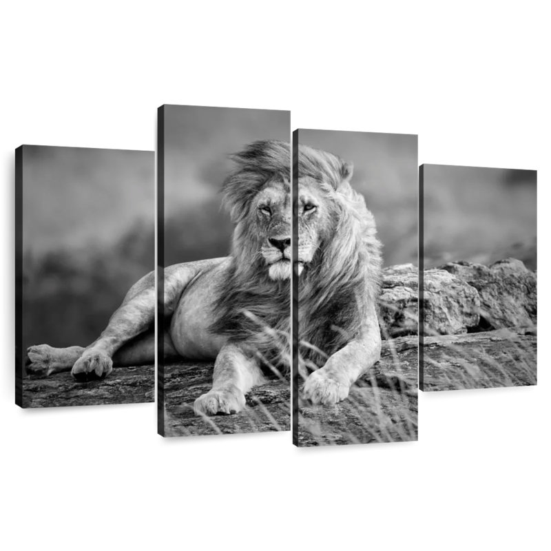 Lion safari Brampt, H 22 po x l 36 po
