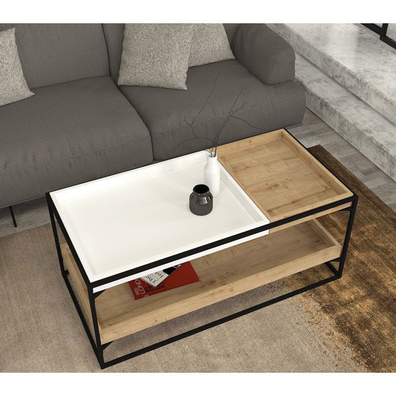 Aleida Frame Coffee Table