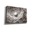 «Nesting» par Nathan Larson, art mural sur toile