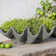 Handmade Planter