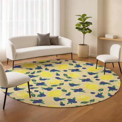 Machine Washable Indoor/Outdoor Bourkelands ACN2354 Fruits Rug