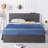 Boryschtsck Upholstered Metal Platform Storage Bed-194142812