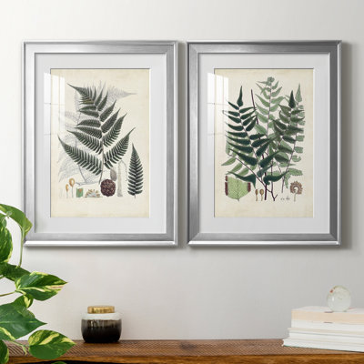 " Collected Ferns VI " 2 - Pieces Painting Print