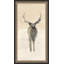 Deer Shadow 2 Print