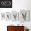 Aquarelle Sharks Tooth II, reproduction encadrée - bois massif-685801163-685801162