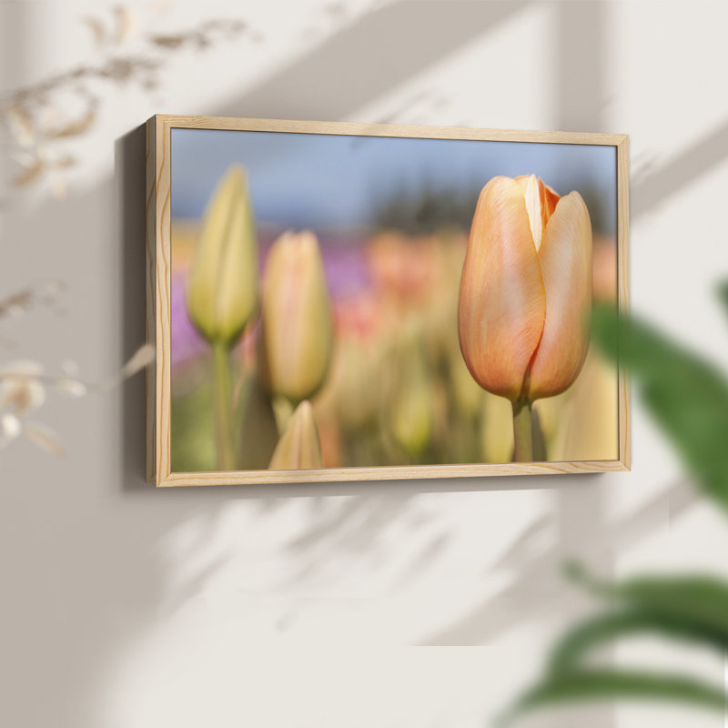 Opening to the Sun -Framed Print - Restickable, Naturel, H 16 po x l 20 po