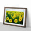 Yellow Sunflower Meadow - Picture Frame Painting Print-55613799-55613805