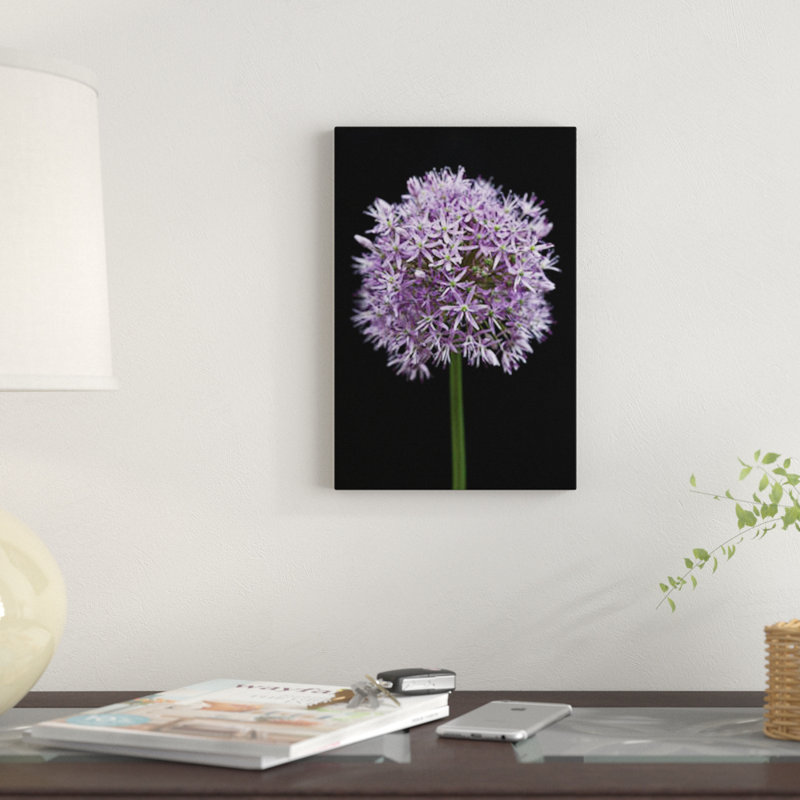 « allium floral », impression sur toile, H 26 po x l 18 po x P 1,5 po, Toile tendue, Pas de tapis