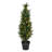 Artificial Cedar Trees Artificial Cedar Tree In Pot UV-553950494