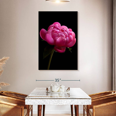 Magenta Peony