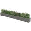 Raised Garden Bed-1912649323