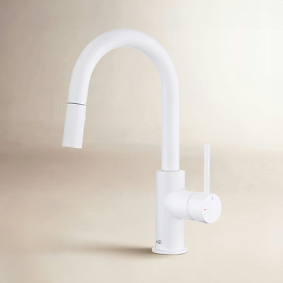 Luxe Pull-Down Kitchen Faucet with Accessories