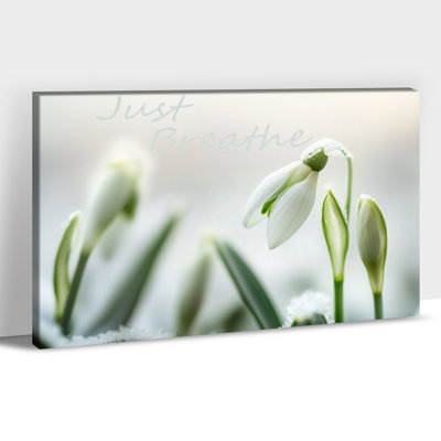 Grande impression d'art sur toile «Snowdrop», Just Breathe