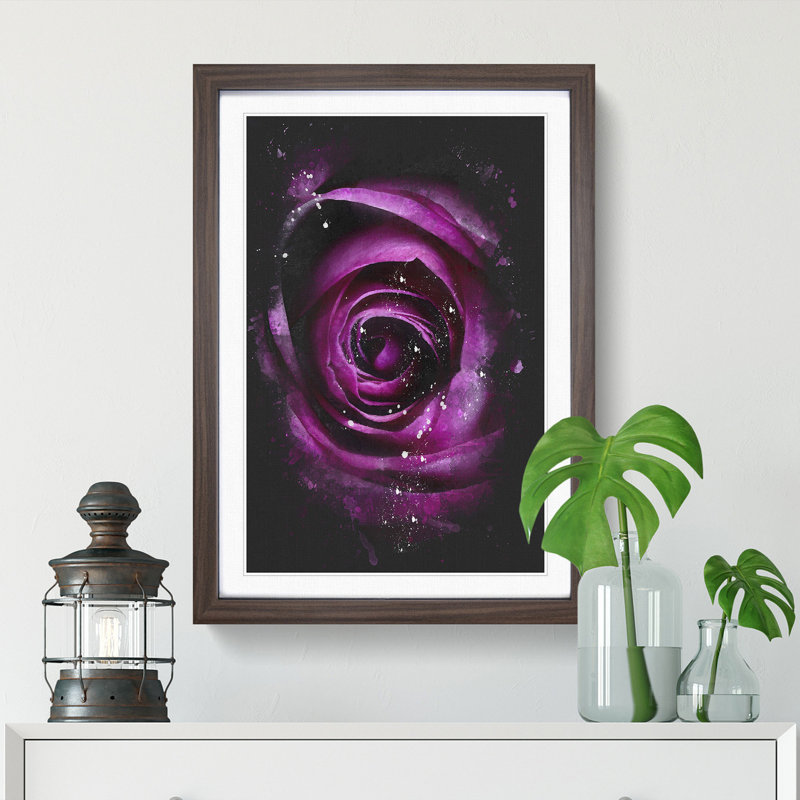 Striking Purple Rose - Framed Print, Walnut Framed, 33cm H x 24cm W x 2cm D
