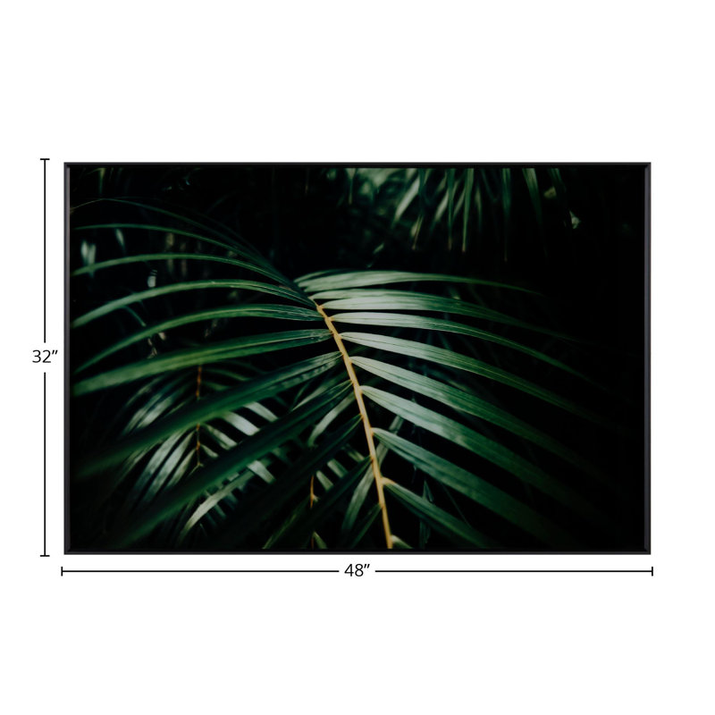 " Safari Leaves "