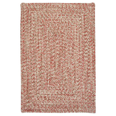 Tabb Indoor / Outdoor Reversible Area Rug - Rose