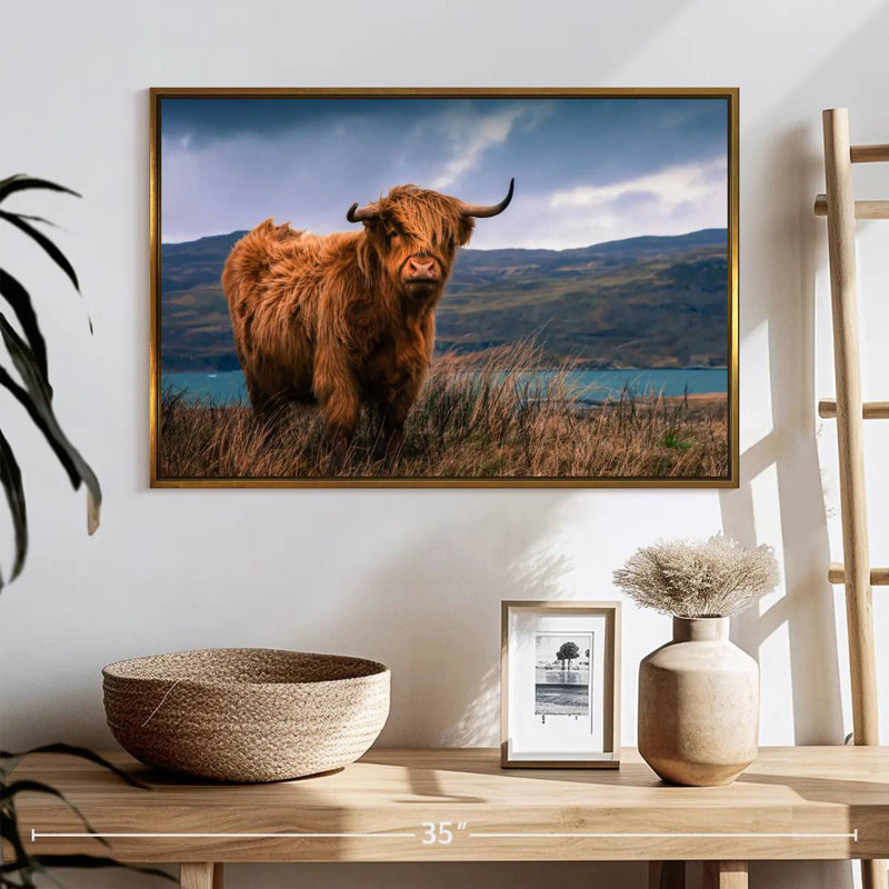 Grande vache Highland, Cadre flottant doré, 25 po x 17 po