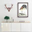 Boat Billed Heron by Johan Teyler - Picture Frame Painting Print-55544168-55544169