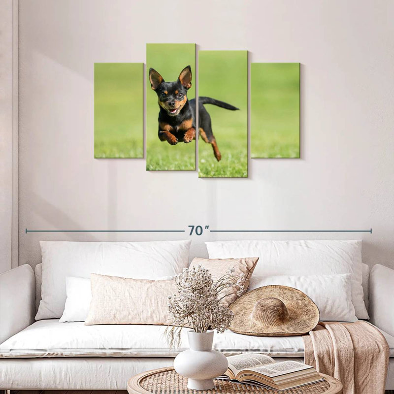 Chihuahua Sprint Brampt, H 27 po x l 43 po