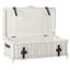 Coffre de rangement en osier Sedona, table basse en rotin pour organisation de maison moderne, H 19 po x l 46 po x P 24 po-1444245151